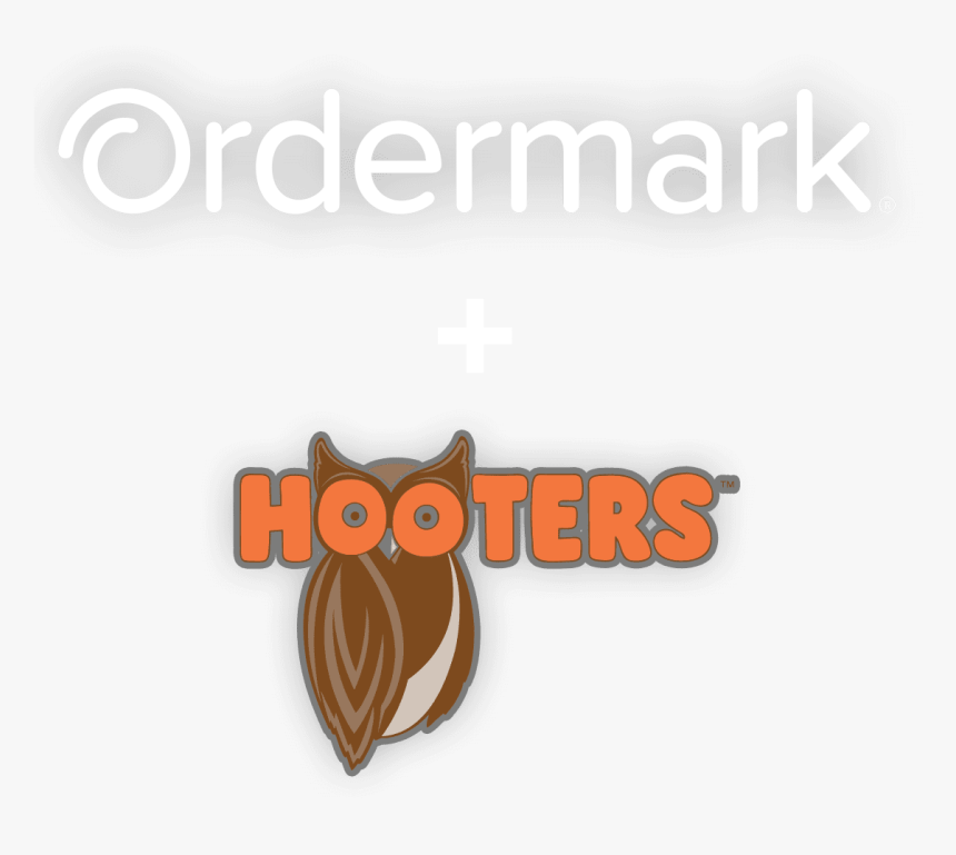 Owl, HD Png Download