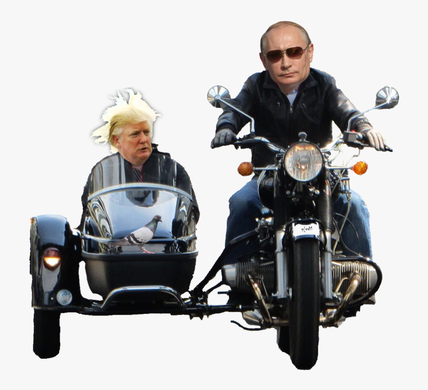 [​img] - Cruiser, HD Png Download