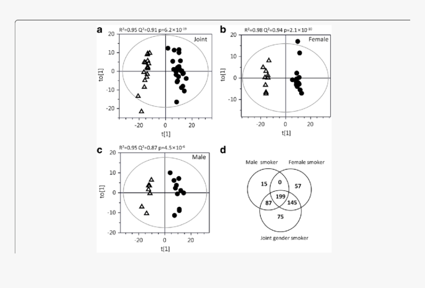 Circle, HD Png Download