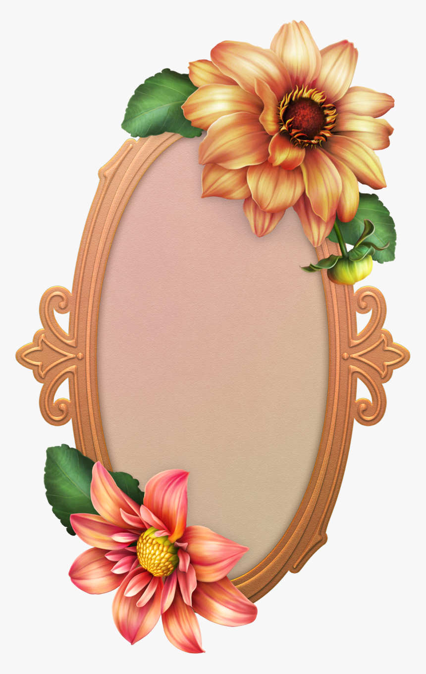 Transparent Stupid Clipart - Clip Art, HD Png Download