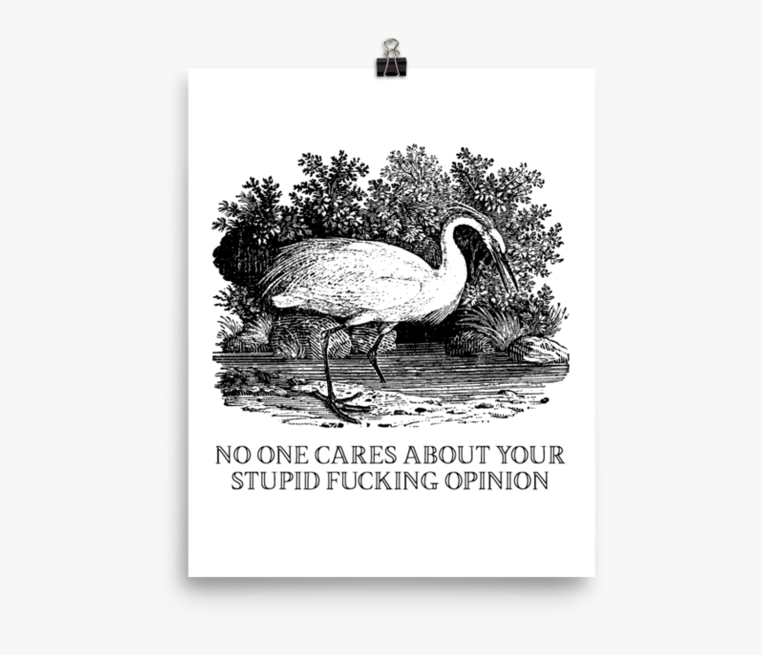 Stupid Opinion 
 Srcset Data - Film, HD Png Download