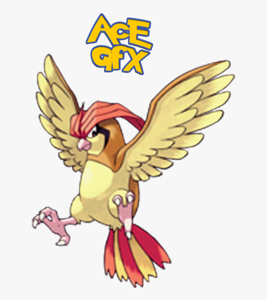 Typhlosion Png, Transparent Png