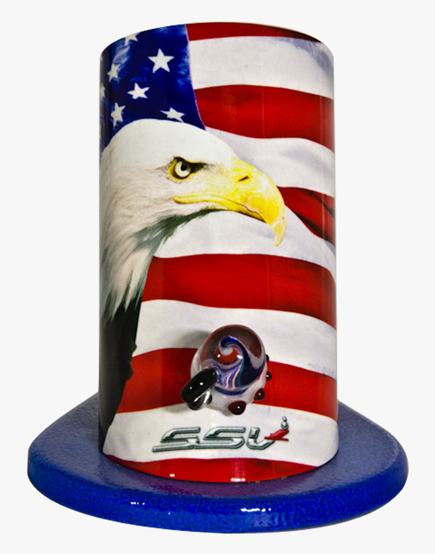 Bald Eagle, HD Png Download