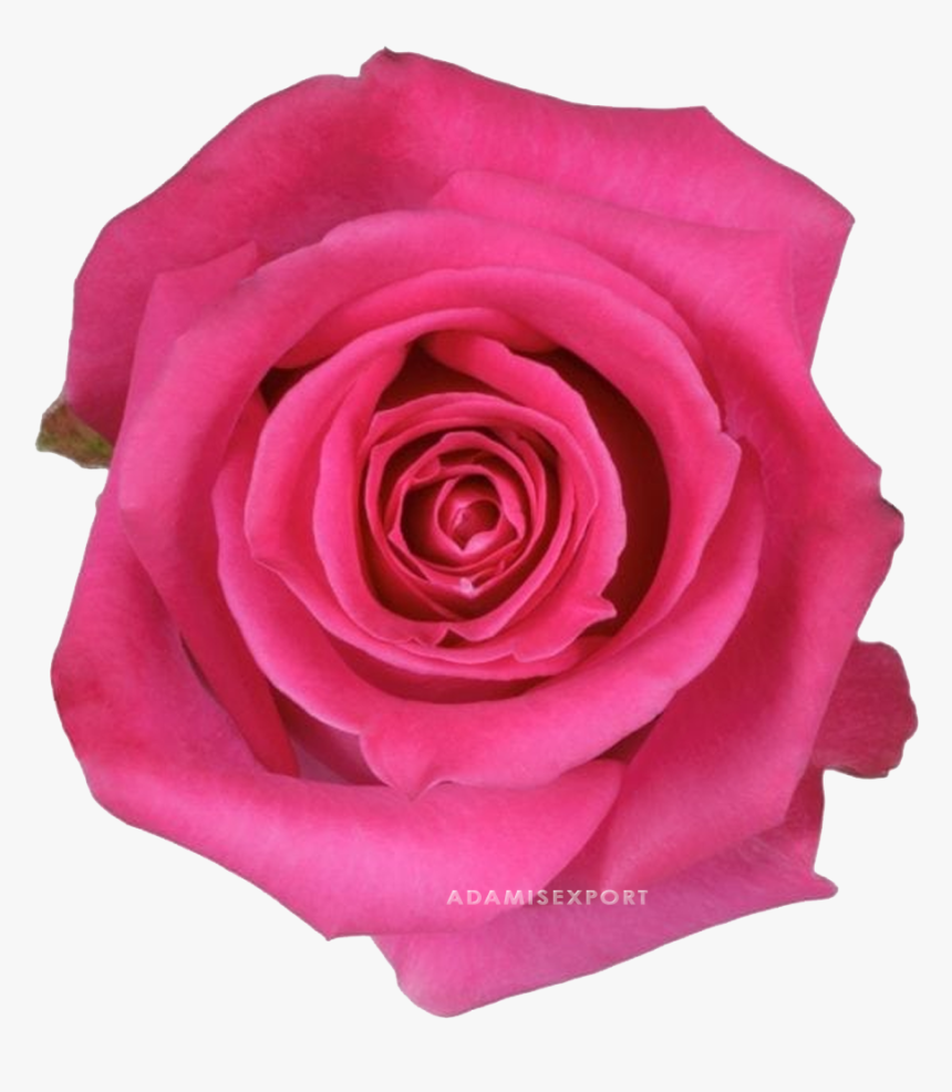 Topaz Png, Transparent Png