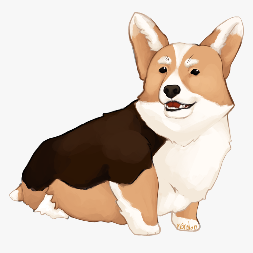 Pembroke Welsh Corgi, HD Png Download