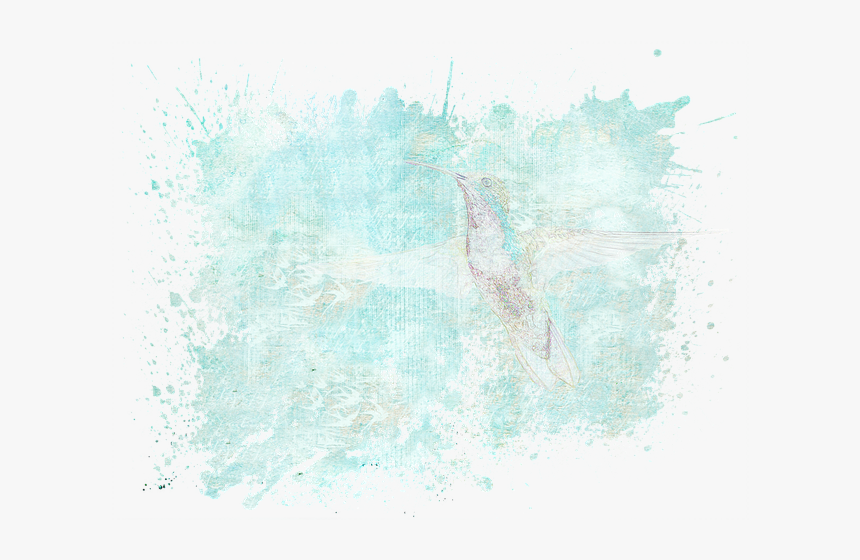 Bird, Hummingbird, Texture, Stationery, Vintage, Map - Visual Arts, HD Png Download