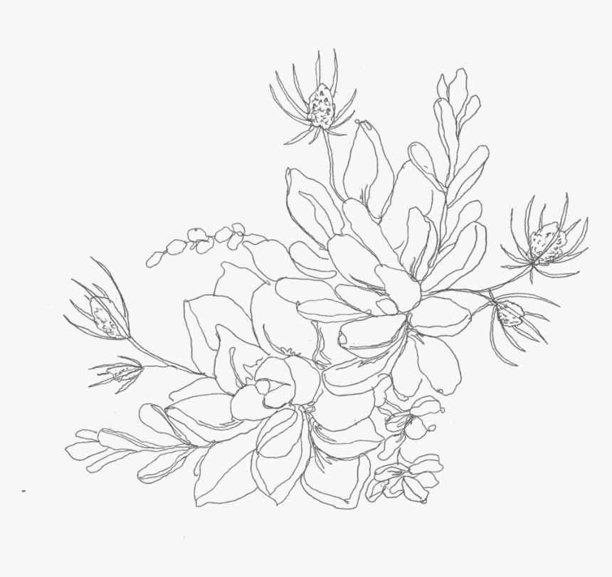 Succulant, HD Png Download