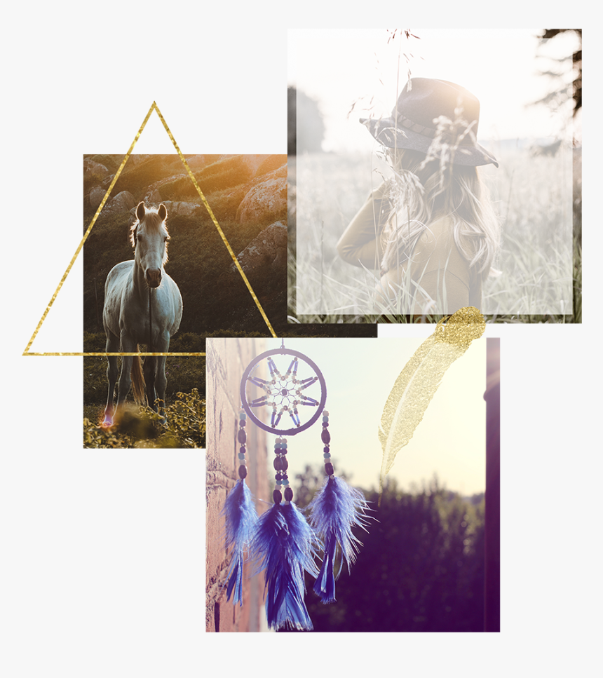 Transparent Boho Feather Png - Dream Catcher Background Hd, Png Download