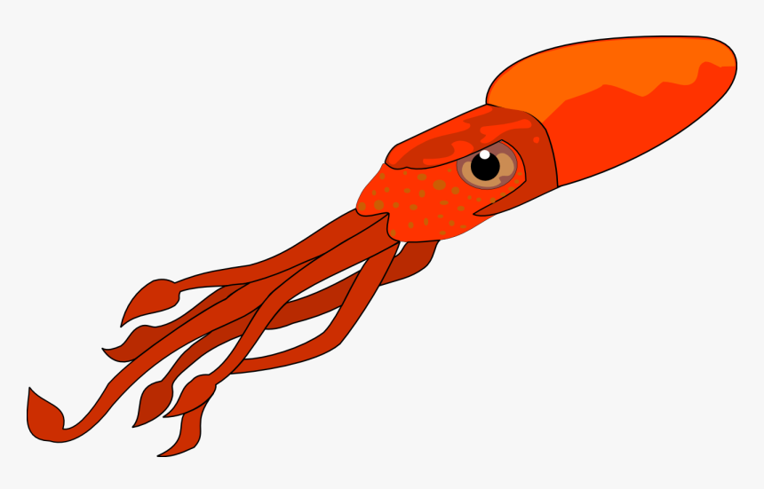 Squid Png 71 - Squid Clip Art, Transparent Png
