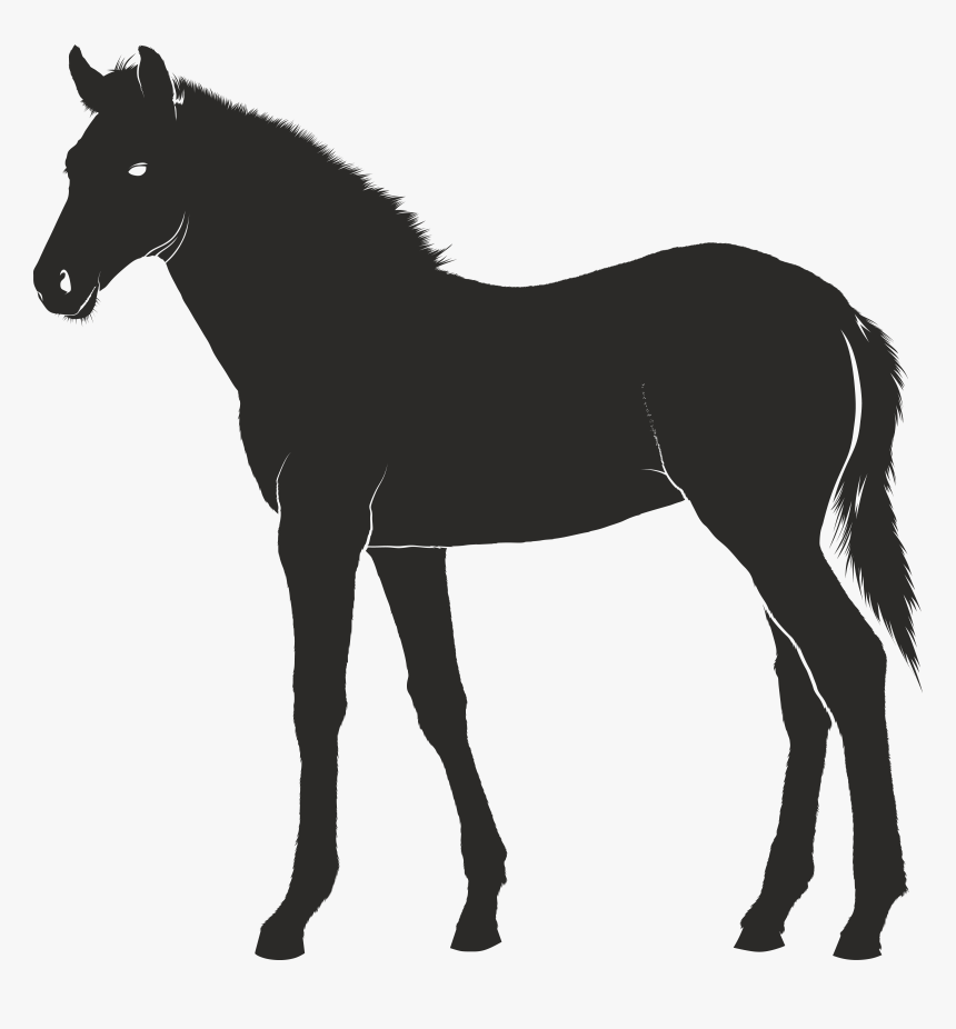 Foal Konik Pony - Mastiff Clipart, HD Png Download