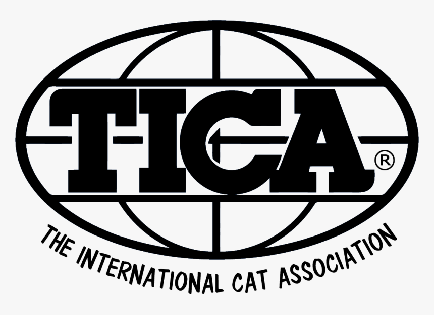 International Cat Association, HD Png Download