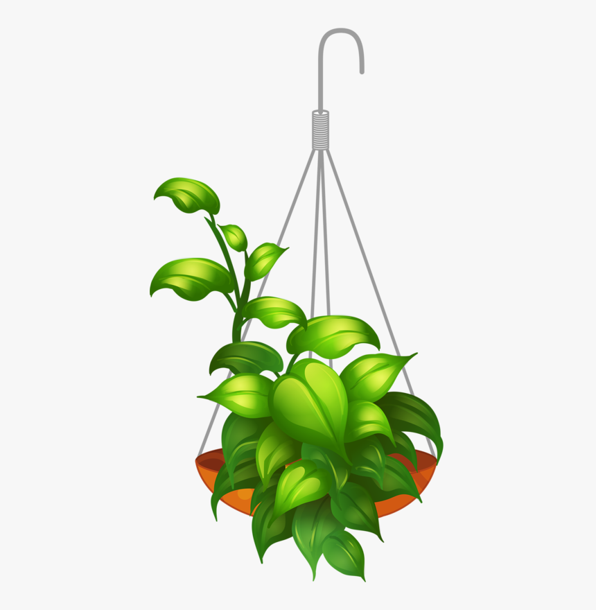 Transparent Hanging Plant Png, Png Download
