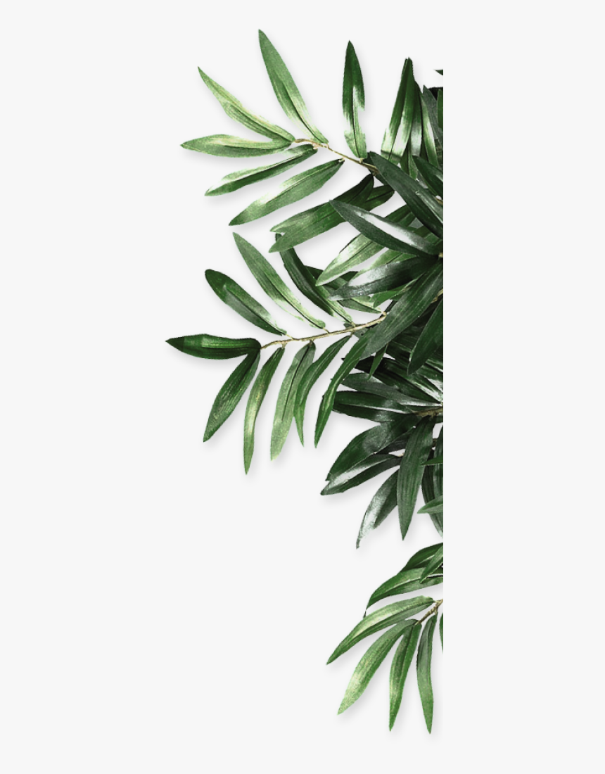 Be Organics Leaf Natural Android Free Download Png - Leaf Png, Transparent Png