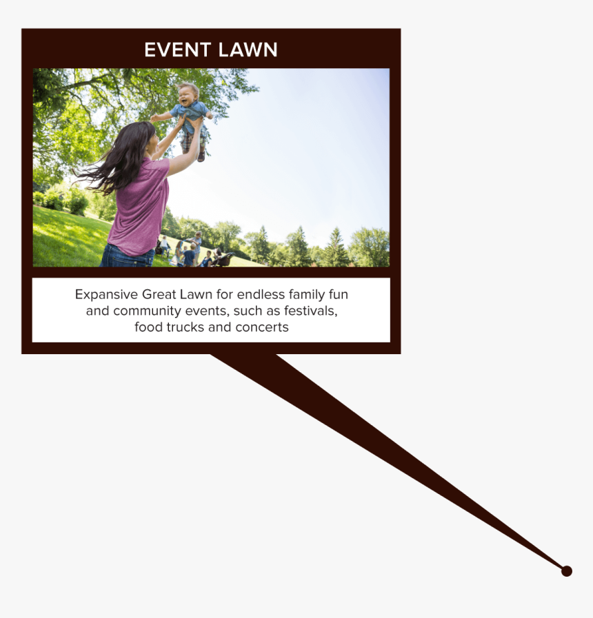 Palm Tree, HD Png Download