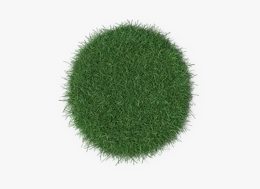 Chlorophyta, HD Png Download