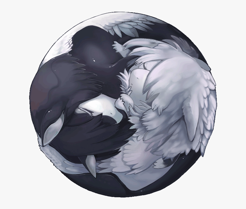 Ying Yang Lem Rom - Illustration, HD Png Download