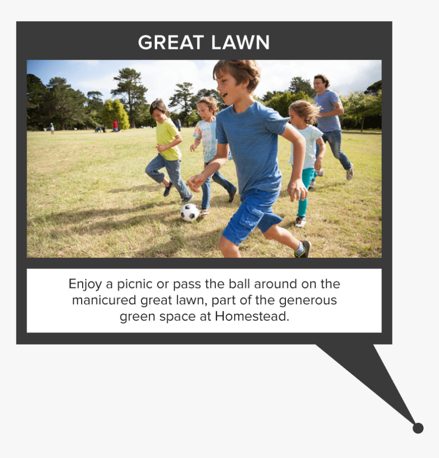 Lawn, HD Png Download