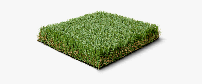 Lawn, HD Png Download