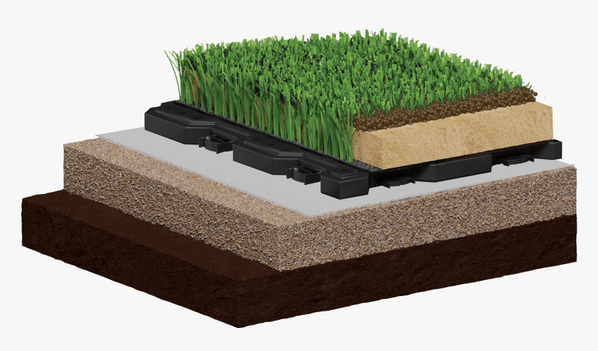 Lawn Png, Transparent Png