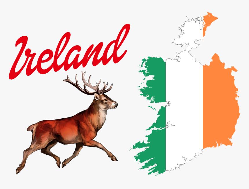 Ireland Flag Logo Png - Ireland Flag With Coat Of Arms, Transparent Png