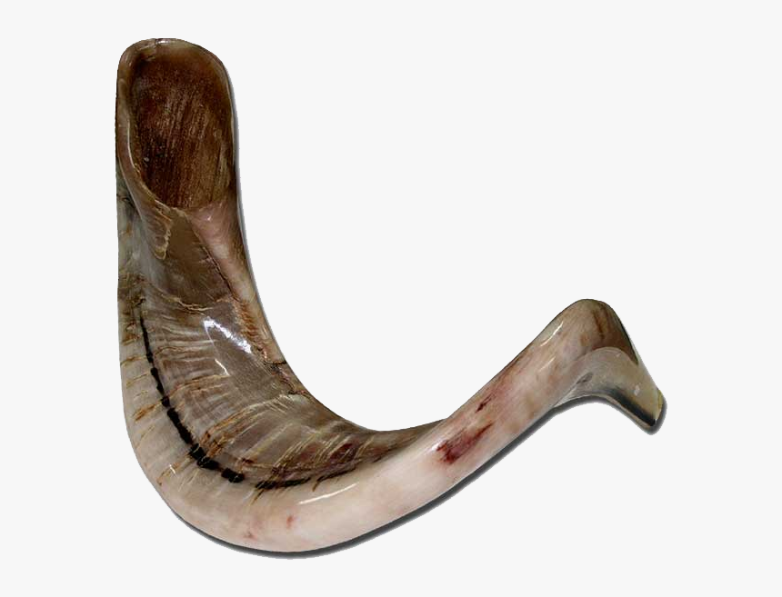 Shofar Ram's Horn Png, Transparent Png
