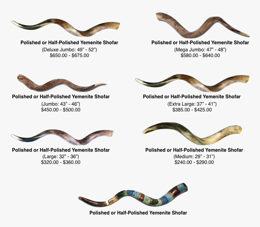 Shofar Bag, HD Png Download