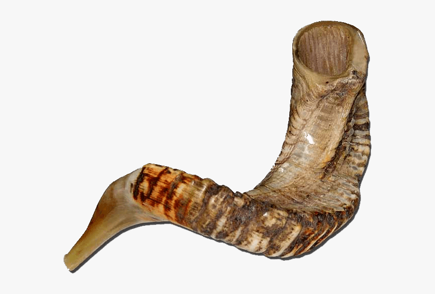 Ram Shofar, HD Png Download