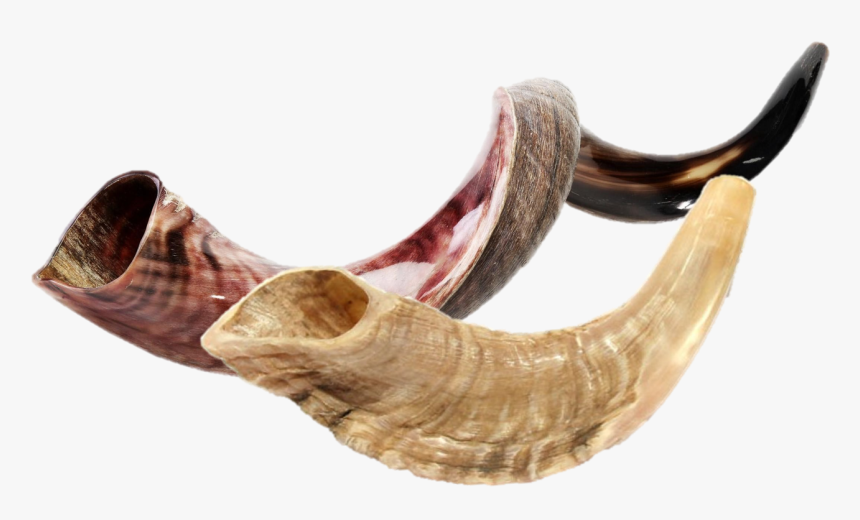 Shofar , Png Download - Año 5780 Significado Biblico, Transparent Png