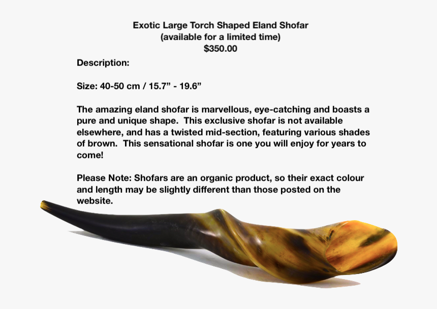 Sea Lion, HD Png Download