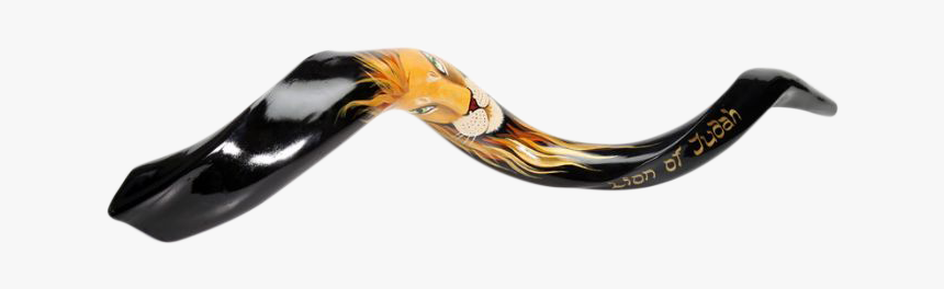 Lion Of Jude Shofar - Chain, HD Png Download