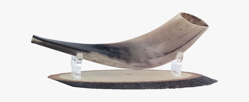 Long Track Speed Skating, HD Png Download