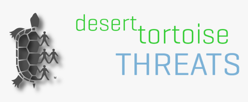 Desert Toroise Preserve Committee, Inc - Graphics, HD Png Download