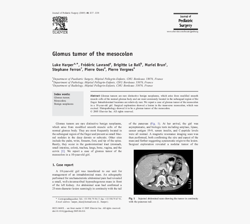 Document, HD Png Download