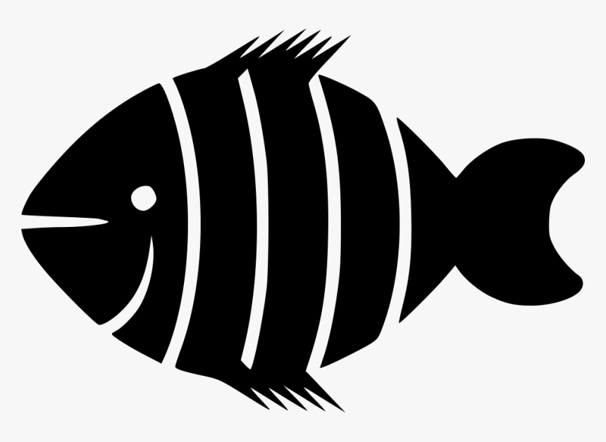 Clown Fish - Portable Network Graphics, HD Png Download