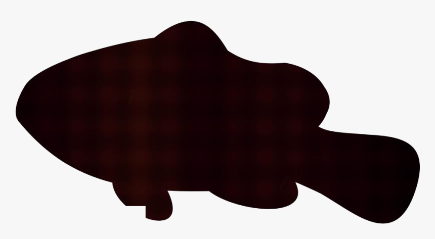 Clownfish Png Transparent Images - Marine Mammal, Png Download