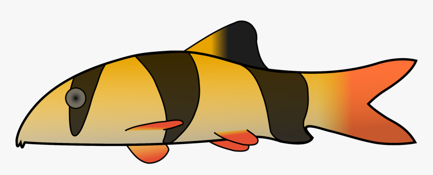 Clown Loach Clipart, HD Png Download