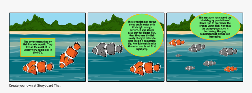 Clownfish Png, Transparent Png