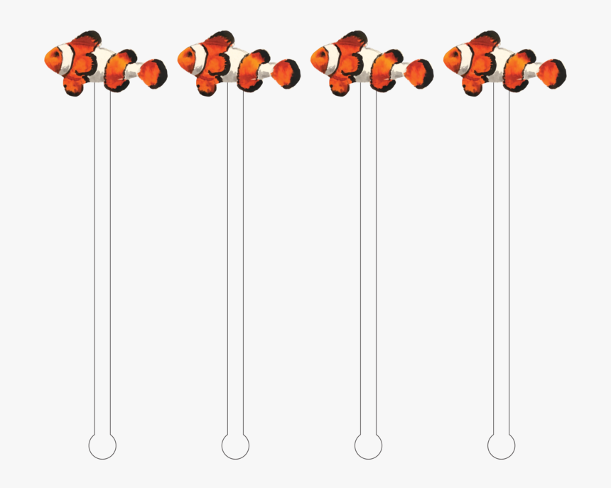Clownfish Png, Transparent Png