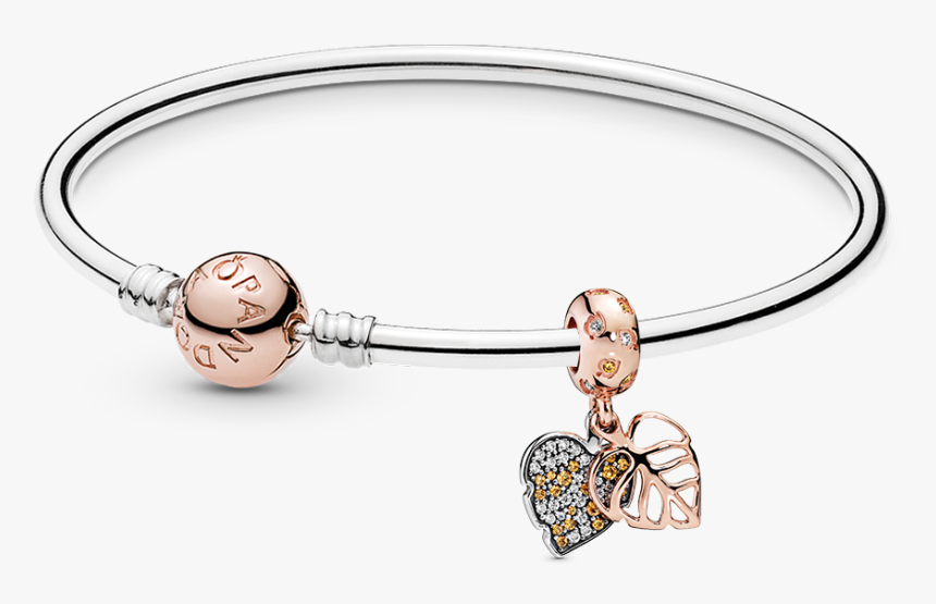 Pandora - Title - Tag - Bracelet, HD Png Download