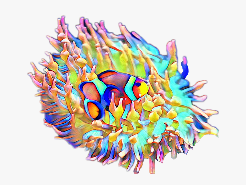 Coral Reef Fish, HD Png Download