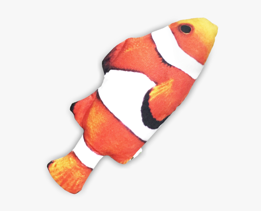Seafood Cuddle Fish 

 
 Data Rimg Lazy 
 Data Rimg - Coral Reef Fish, HD Png Download