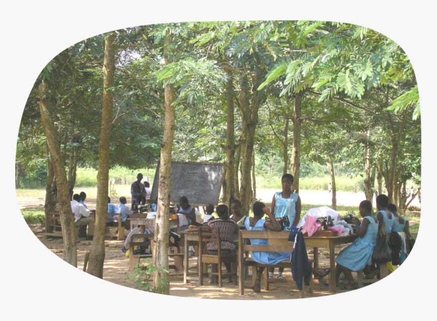 Grove, HD Png Download