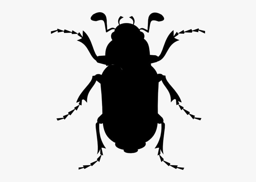 Beetle Png Transparent Images - Cartoon Cockroach, Png Download