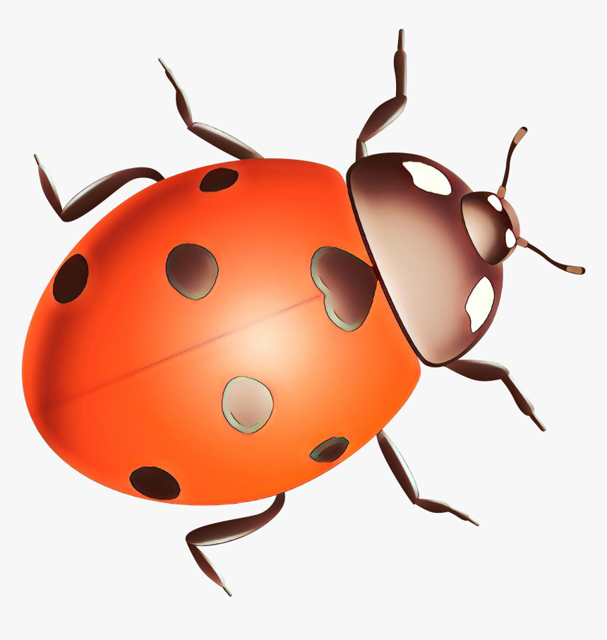 Ladybird Beetle Clip Art Pest Snout - Ladybug, HD Png Download