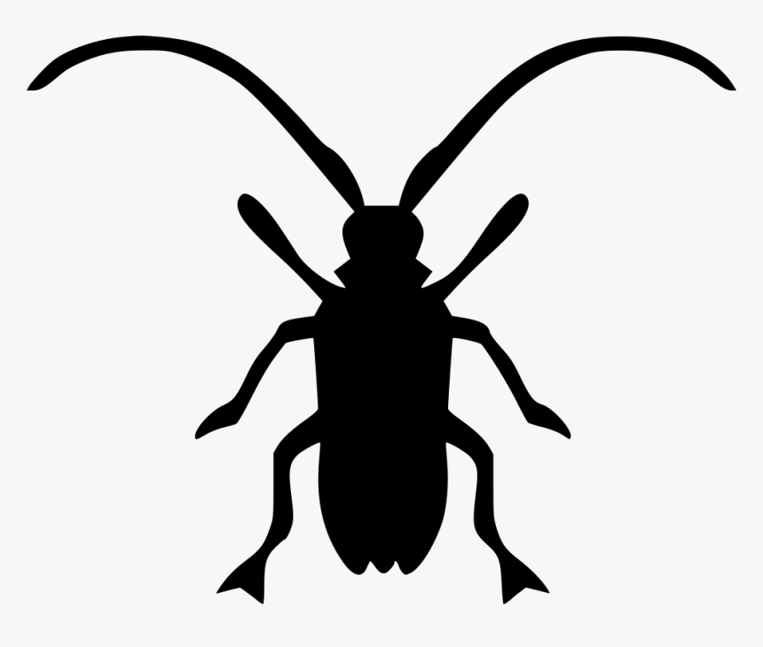 Asian Longhorned Beetle Beatle - Asian Longhorned Beetle Png, Transparent Png