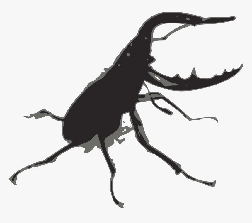 Svg Free Big Image Png - Stag Beetle Png Black, Transparent Png