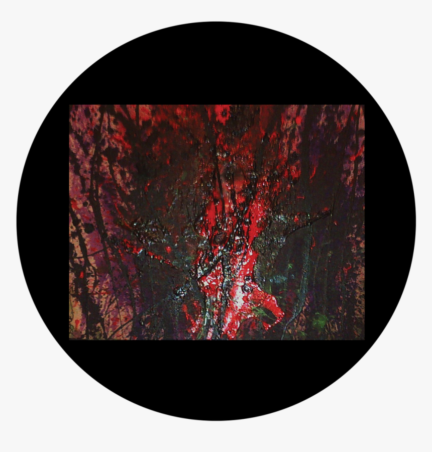 Circle, HD Png Download