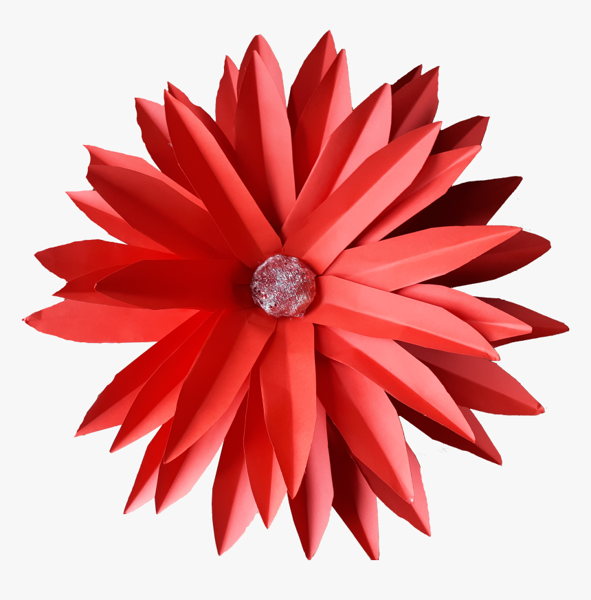 Mandalas Color Cafe, HD Png Download