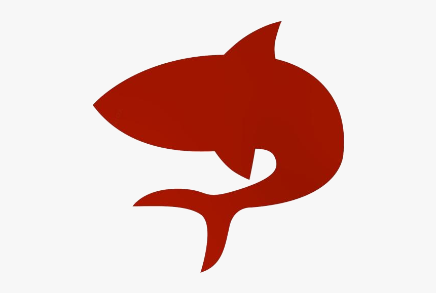Shark Png Hd Wallpaper - Shark, Transparent Png