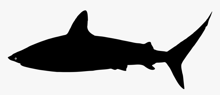 Shark Silhouette Png - Shark Clipart Silhouette, Transparent Png